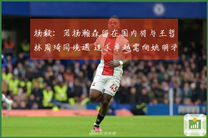 杨毅：若杨瀚森留在国内将与王哲林周琦同境遇 追求卓越需向姚明学习