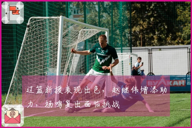 辽篮新援表现出色，赵继伟增添助力，杨鸣复出面临挑战