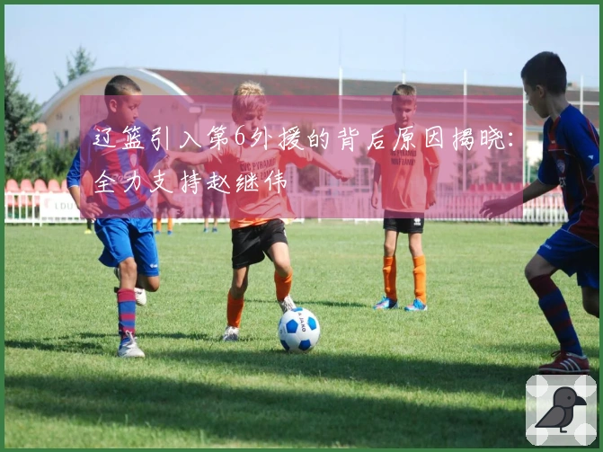 辽篮引入第6外援的背后原因揭晓：全力支持赵继伟