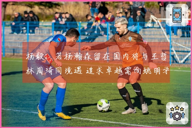 杨毅：若杨瀚森留在国内将与王哲林周琦同境遇 追求卓越需向姚明学习